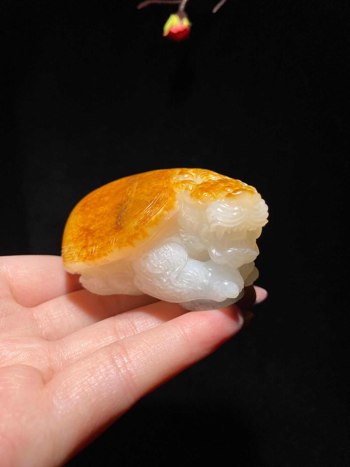 和田玉籽料龙龟(178.0g)