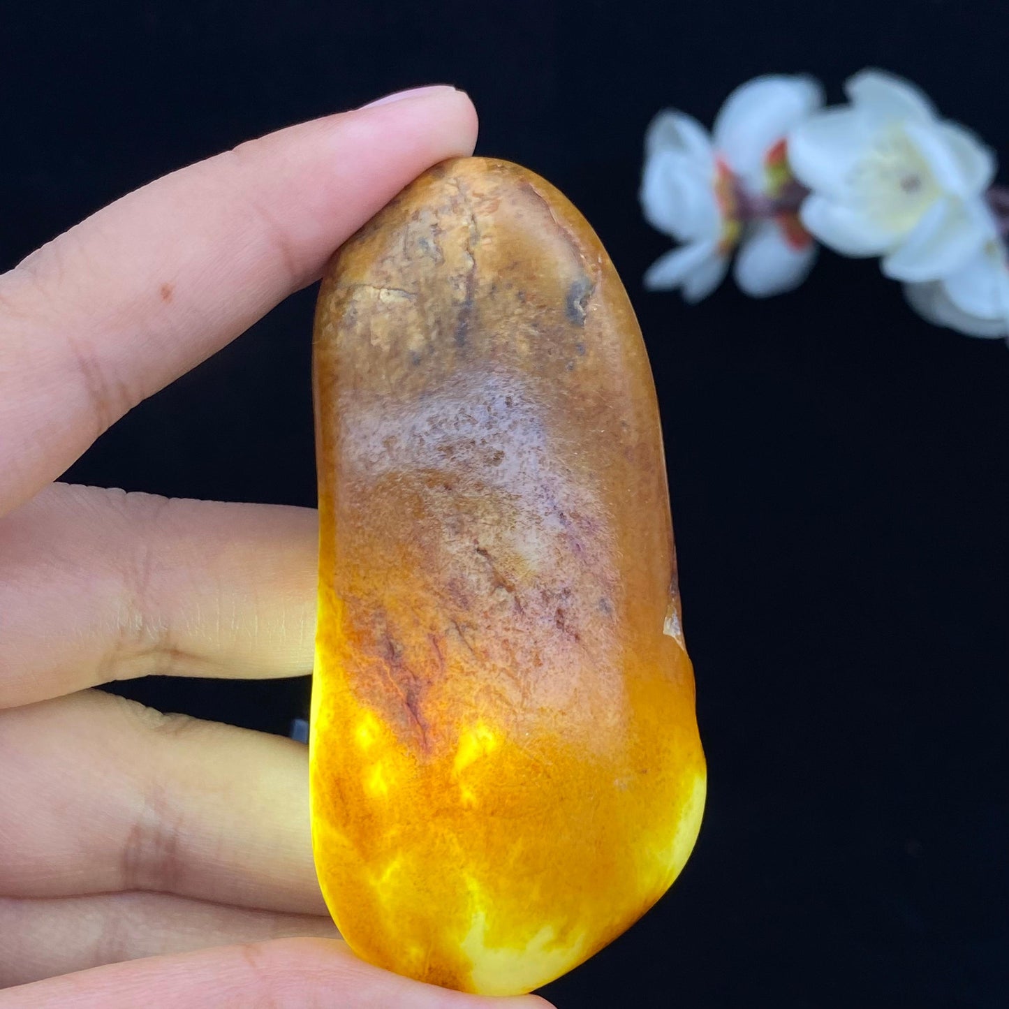 和田玉聚黄皮籽料手把件(75.1g)