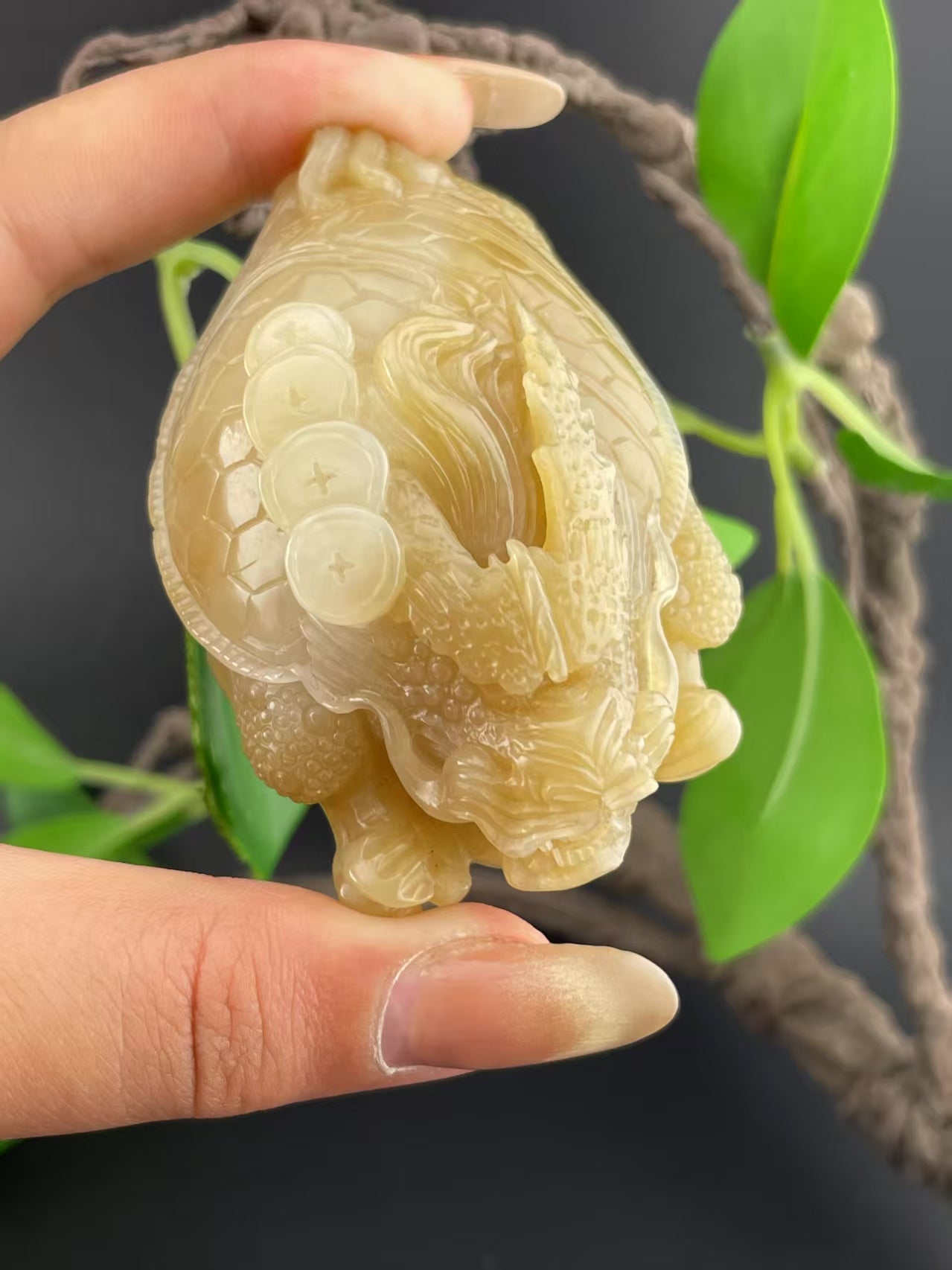 和田玉糖白龙龟手把件