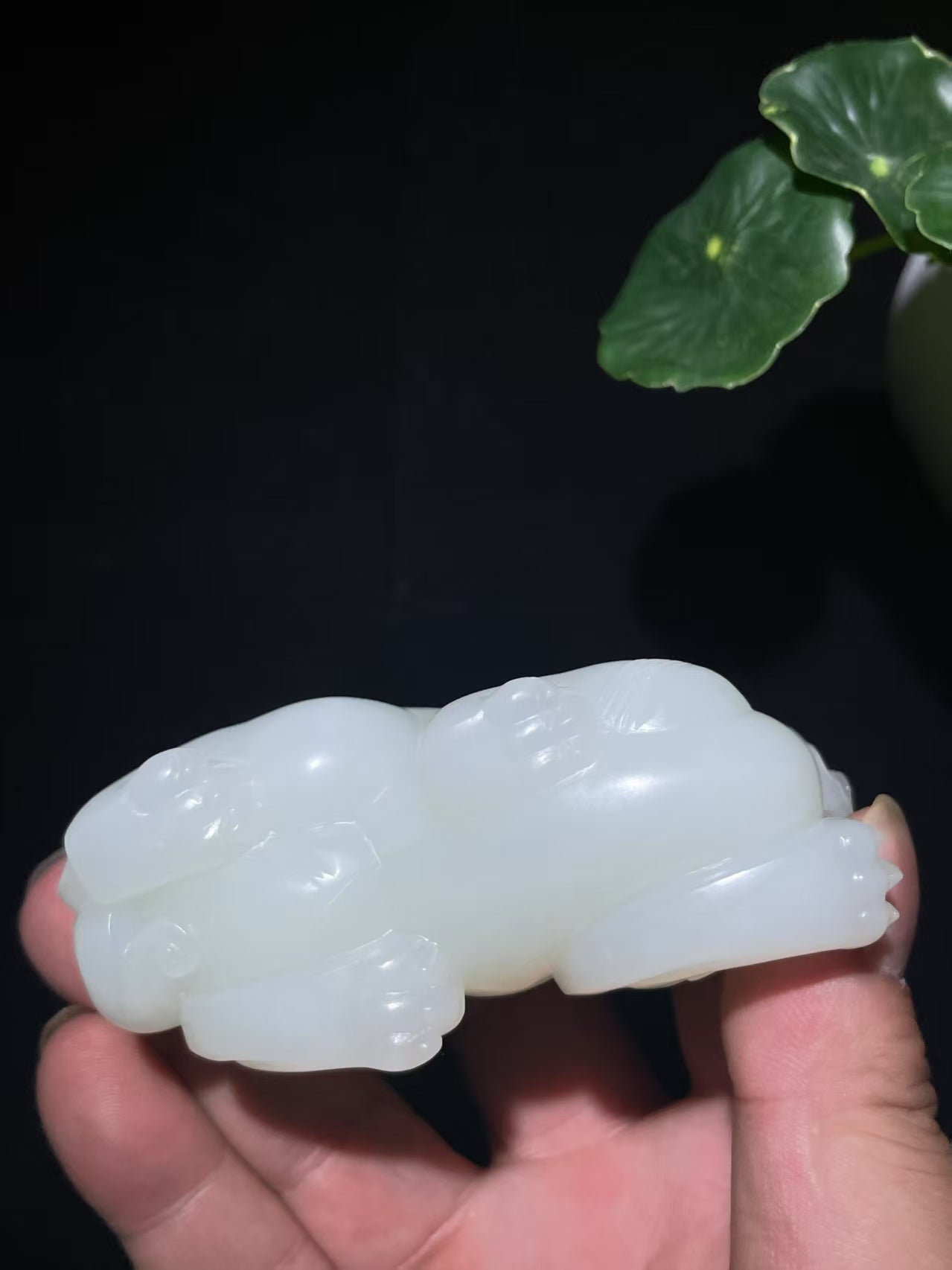 收藏级和田玉羊脂白貔貅手把(246.2g)
