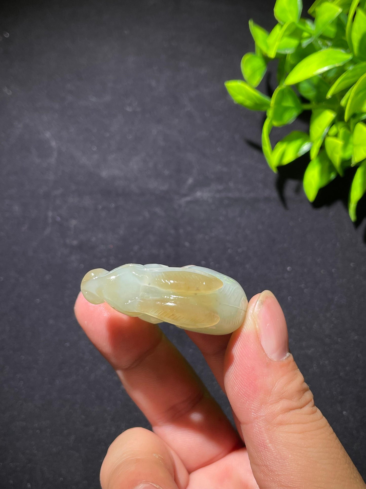 和田玉且末蓝带糖前途无量(34.0g)