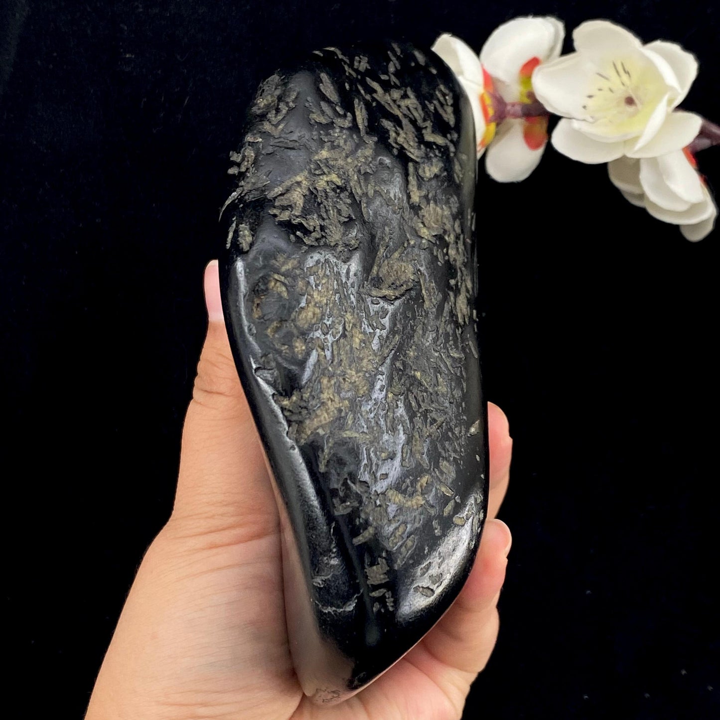 和田玉黑青籽料原石(1248.6g)