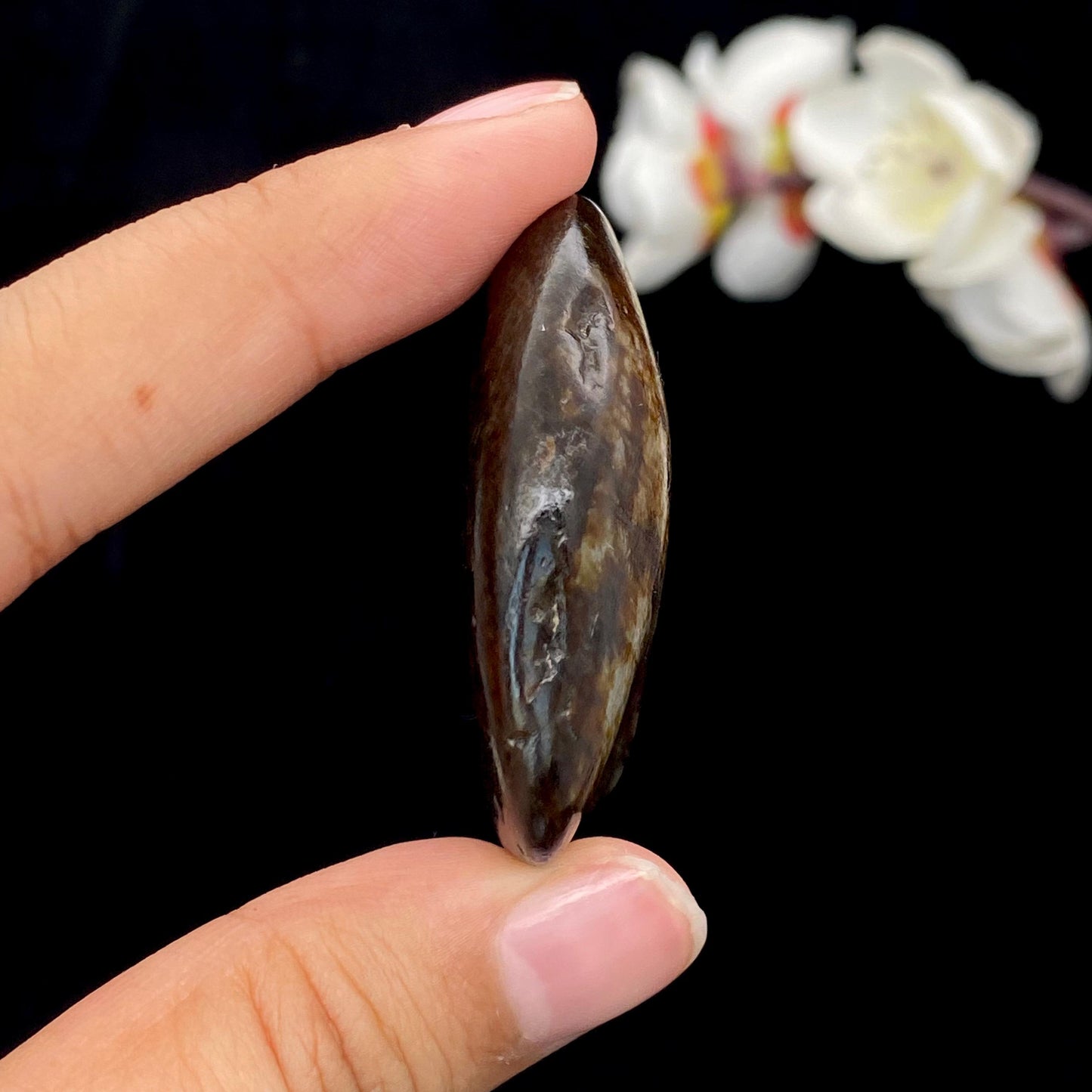 和田玉聚黑皮籽料挂件(31.2g)