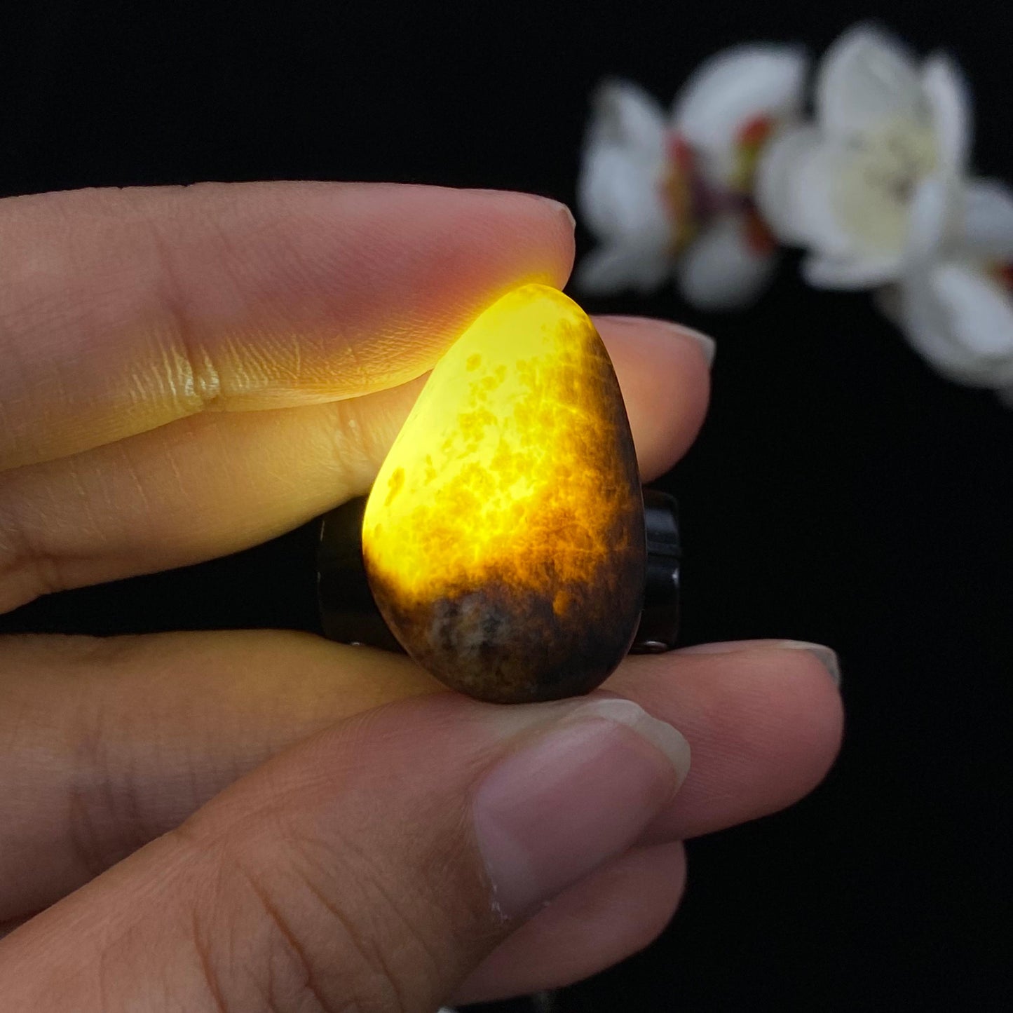 和田玉黑秋梨皮籽料吊坠籽(7.1g)