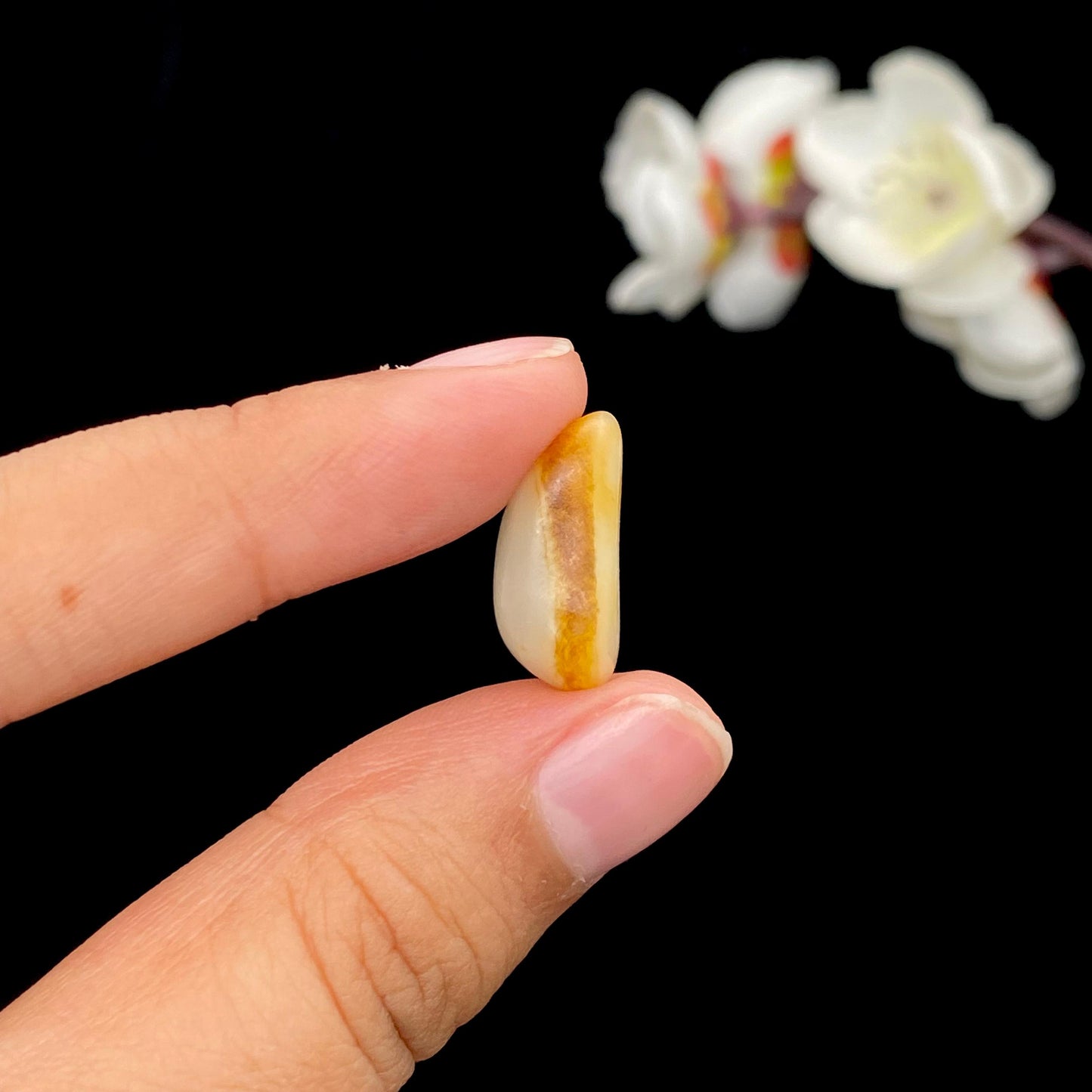和田玉聚黄皮籽料戒面籽(3.1g)