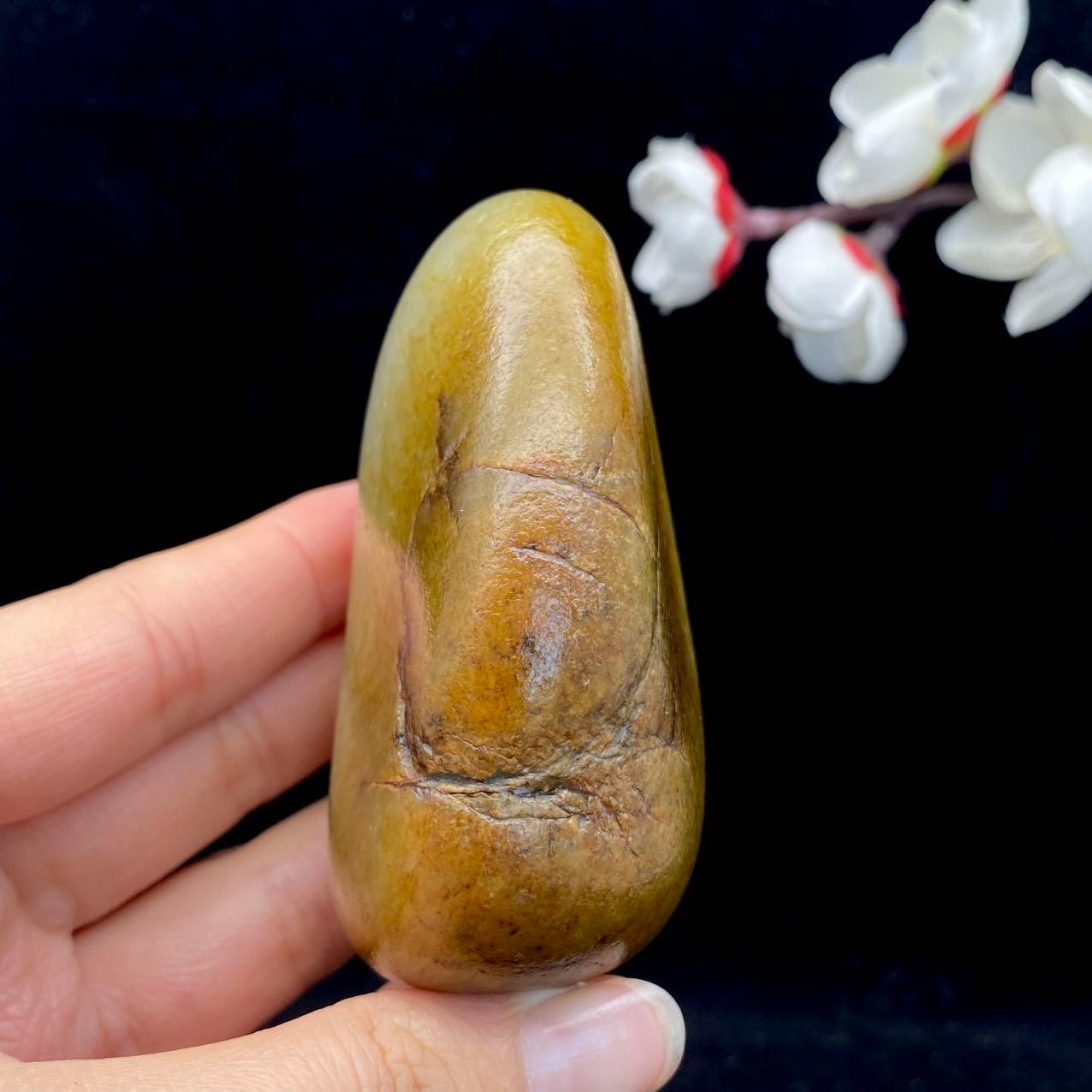 和田玉聚黄皮籽料原石(230g)