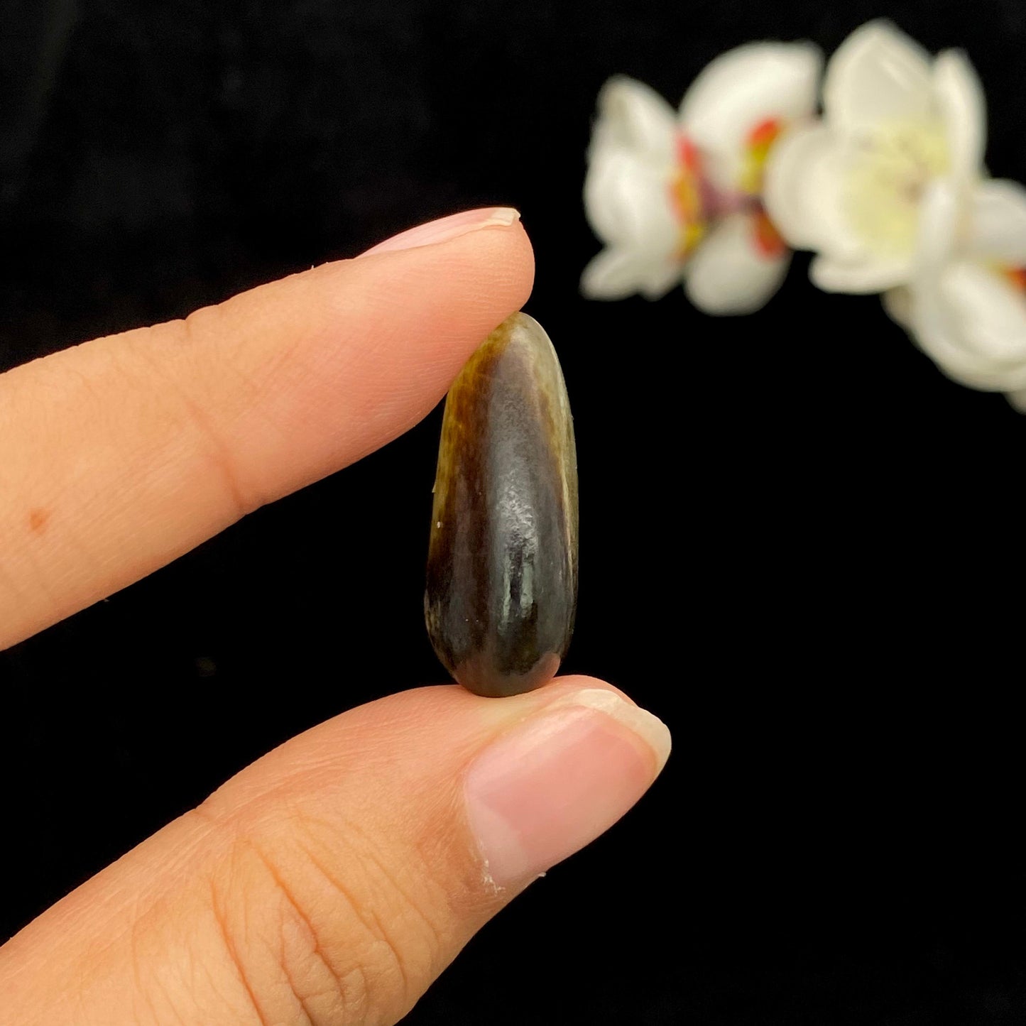 和田玉黑秋梨皮籽料吊坠籽(7.1g)