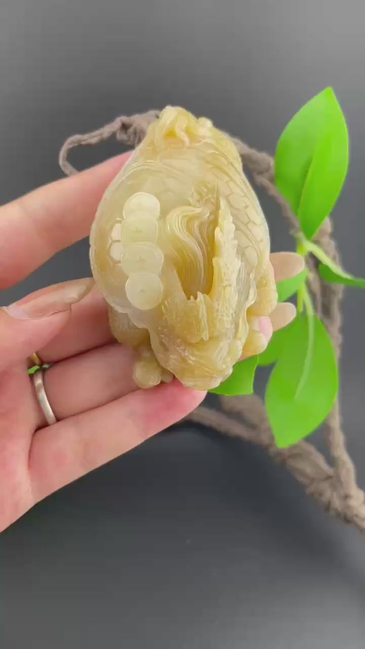 和田玉糖白龙龟手把件