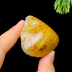 和田玉籽料龙龟（56.0g）