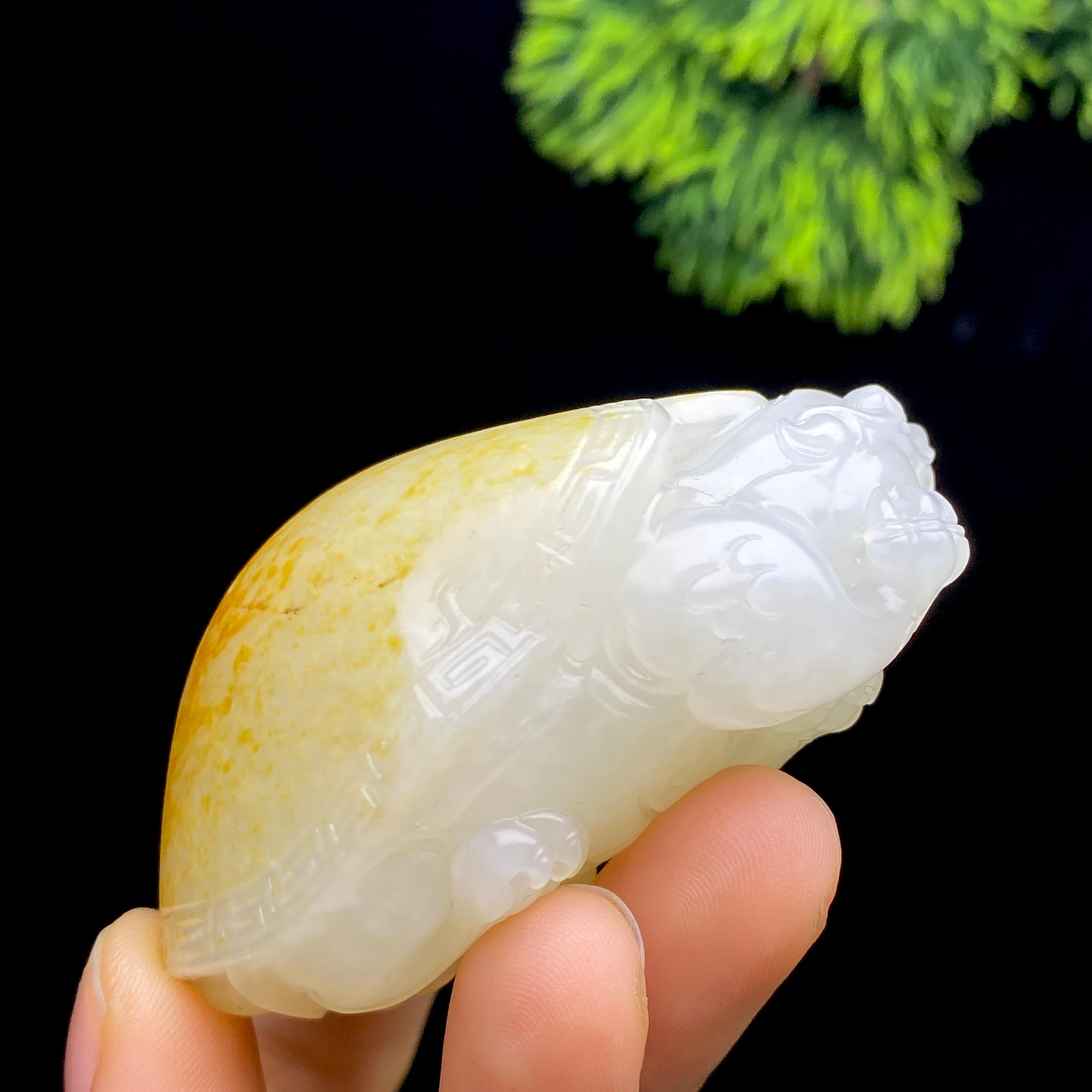 和田玉籽料龙龟（73.7g）