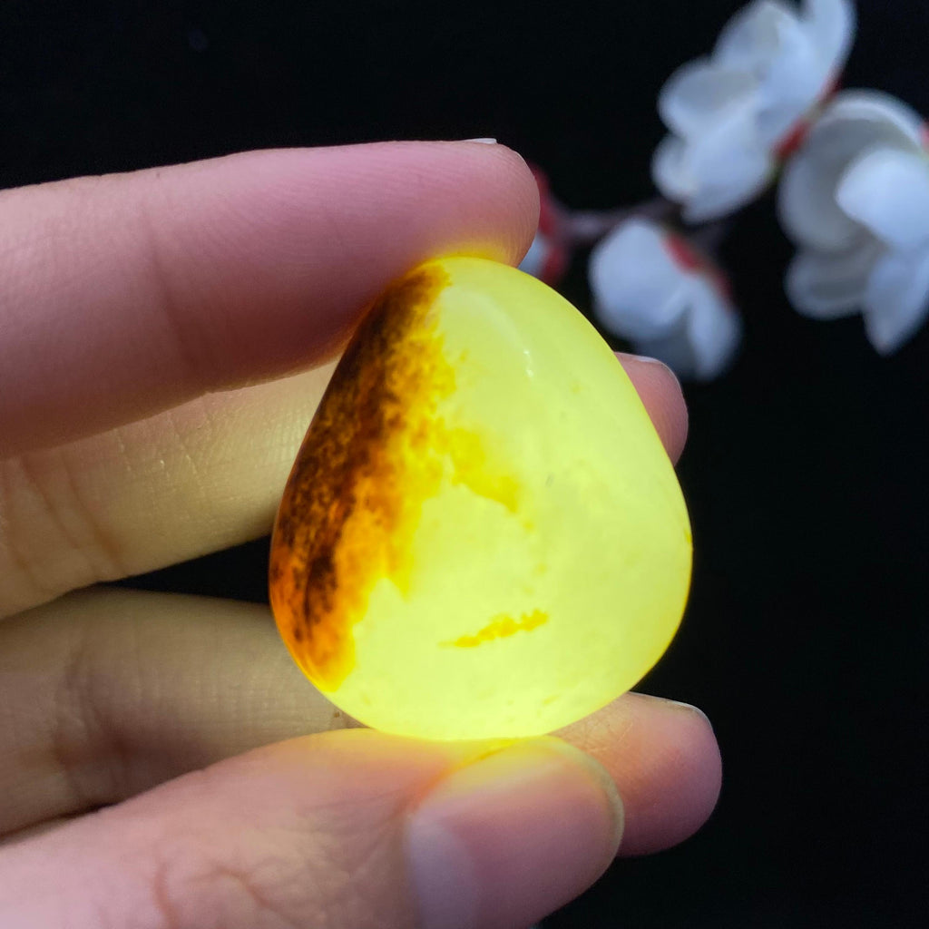 和田玉聚黄皮籽料吊坠籽（17.3g）
