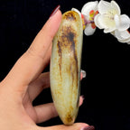 和田玉聚黑皮籽料原石（398.3g）