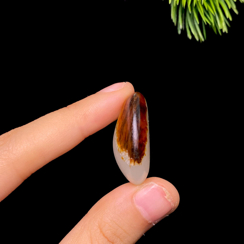 和田玉聚红皮白肉籽料（11.1g）