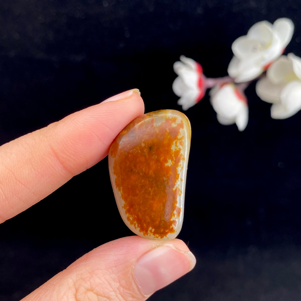 和田玉聚红皮籽料吊坠籽（12.2g）