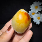 精品和田玉籽料手把件龙龟（69.7g）