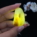 和田玉秋梨黄皮籽料挂件（26.8g）