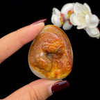 和田玉籽料【仿古龙】（51.3g）