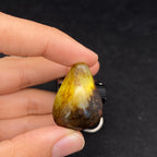 【超值推荐】和田玉聚黑皮籽料吊坠籽（9.8g）