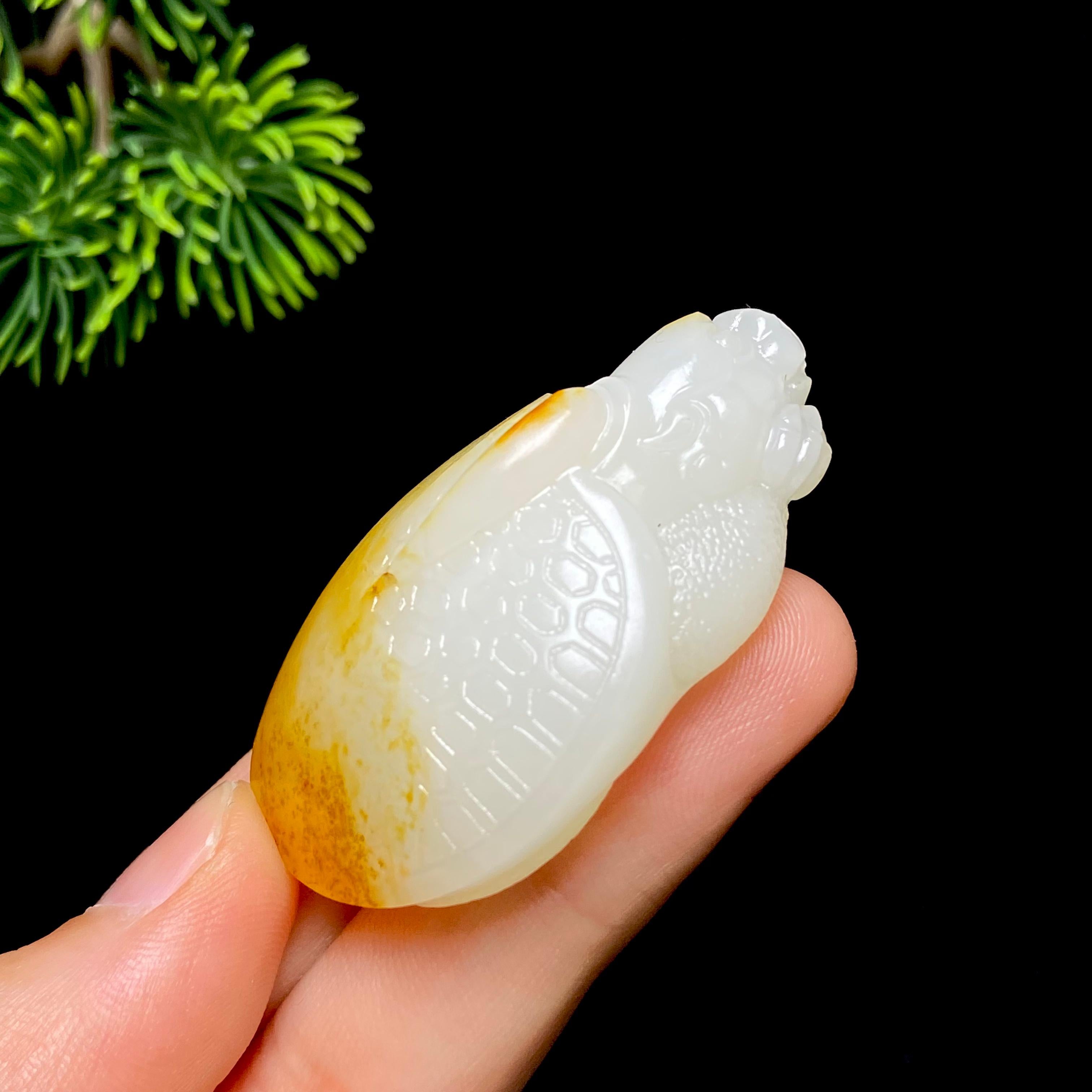 和田玉籽料龙龟（37.5g）