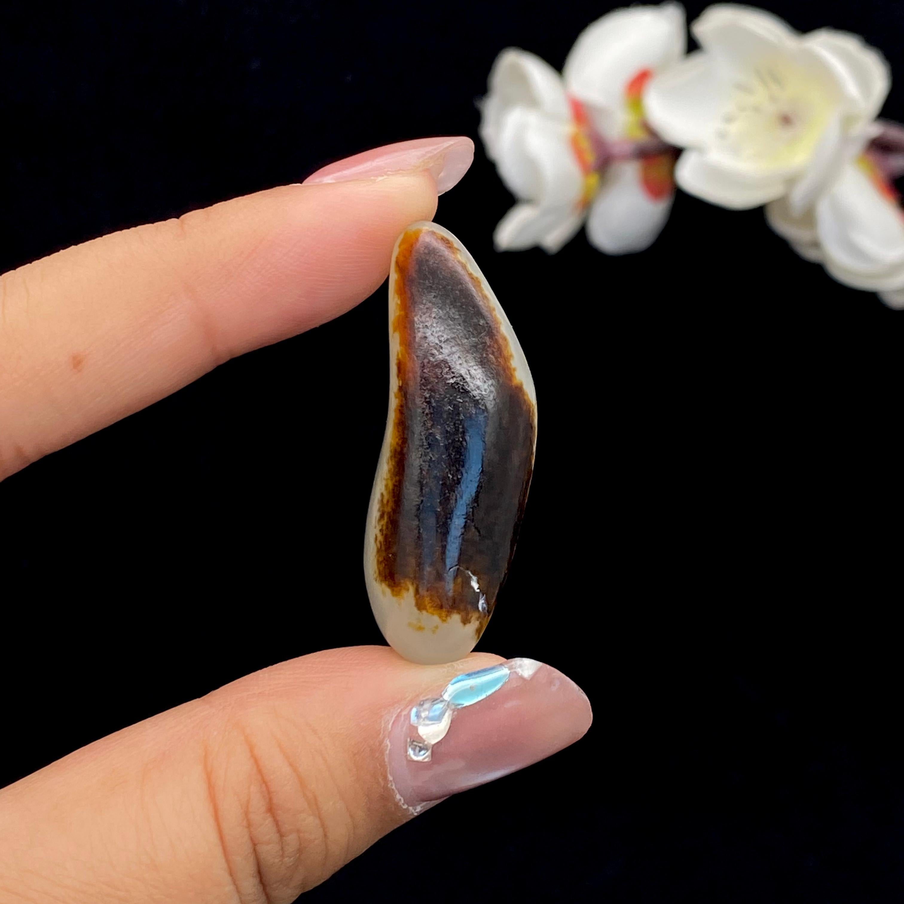 和田玉聚红皮籽料挂件（16.9g）