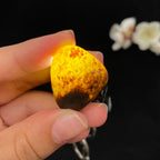 和田玉聚黑皮籽料（8.8g）
