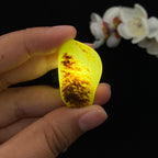 【超值推荐】和田玉聚黄皮籽料原石（11.9g）