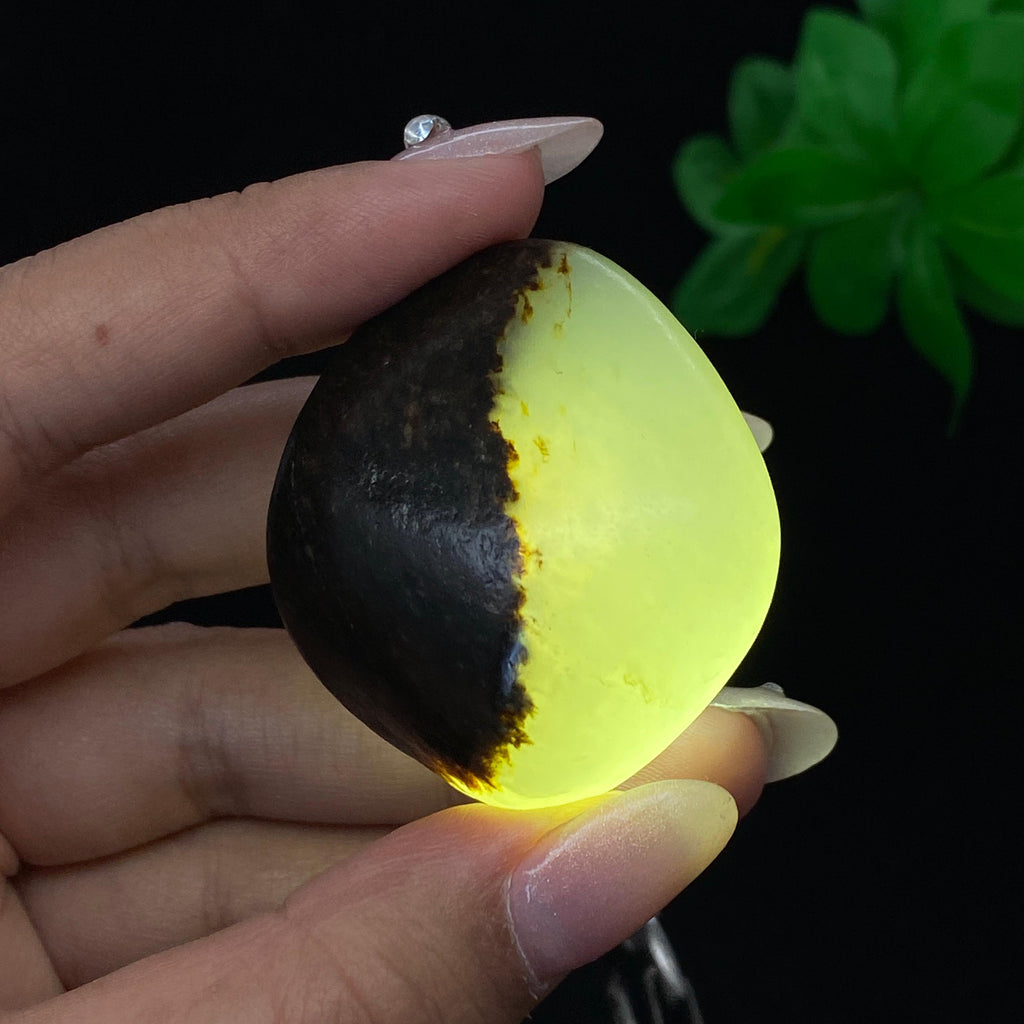 和田玉聚黑皮籽料（41.6g）
