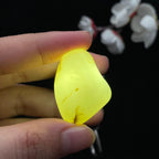 和田玉白玉籽料（18.3g）