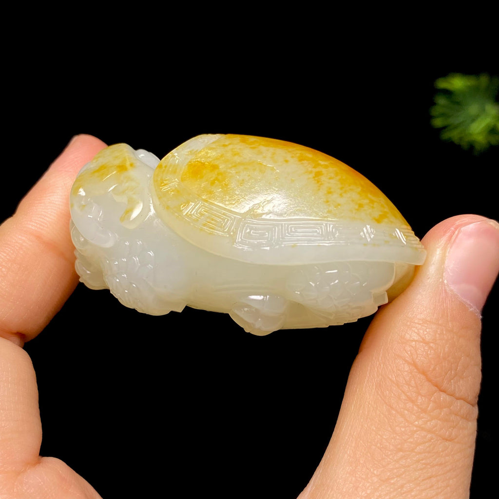 和田玉籽料龙龟（68.9g）