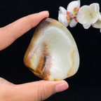 和田玉聚黄皮籽料手把件（115.3g）
