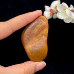 和田玉聚红皮籽料（49.5g）