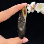 和田玉聚黑皮籽料手把件（89.3g）