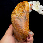 和田玉聚红皮籽料原石（970.9g）