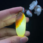 和田玉聚黄皮籽料（11.7g）