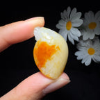 和田玉籽料挂件龙龟（14.5g）