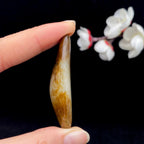 和田玉秋梨皮籽料（16.2g）