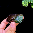和田玉籽料碧玉龙龟把件（82.2g）