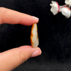 和田玉红皮籽料挂件（8.8g）