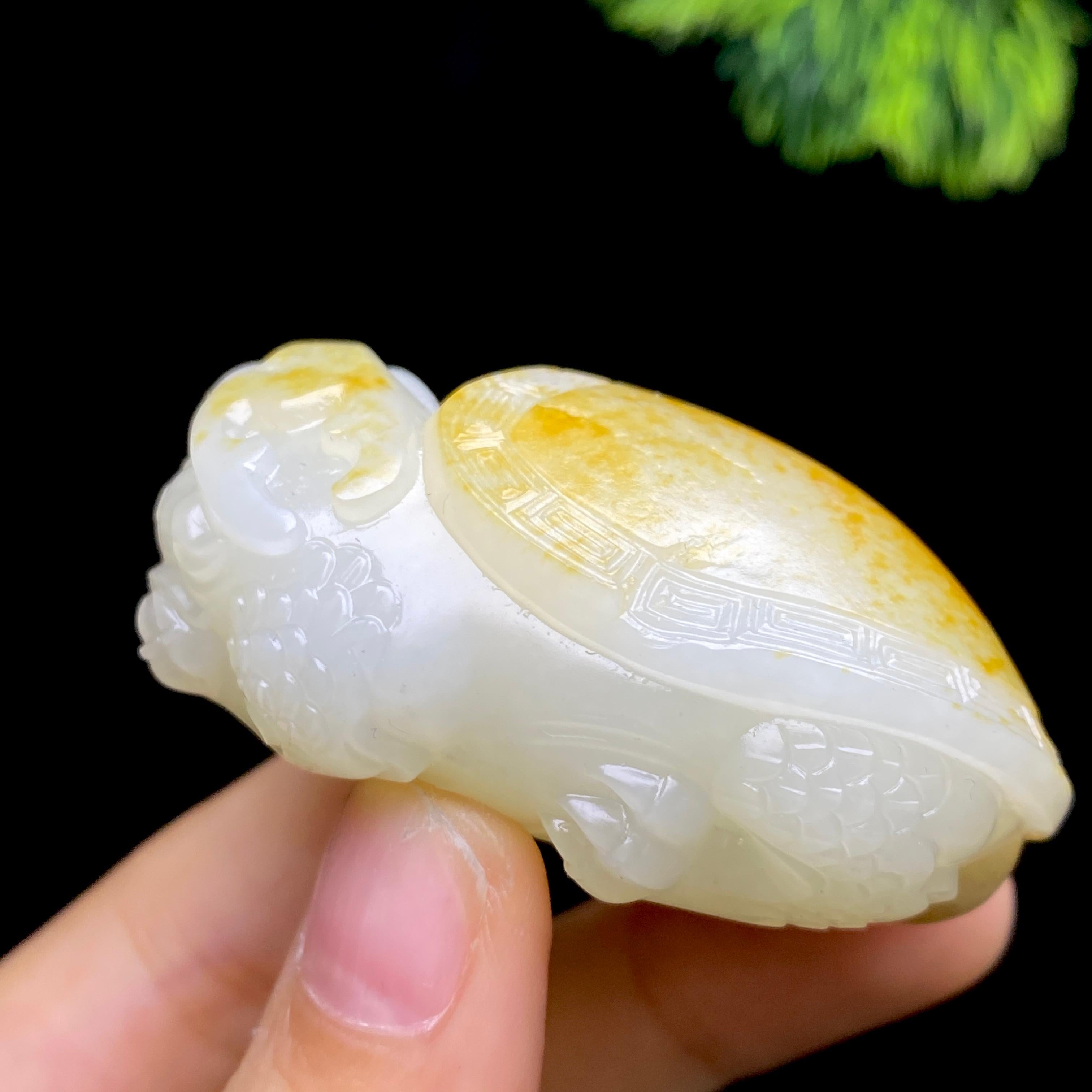 和田玉籽料龙龟（68.9g）