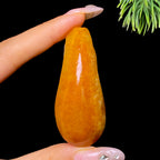 和田玉籽料金钱蝉身（24.6g）