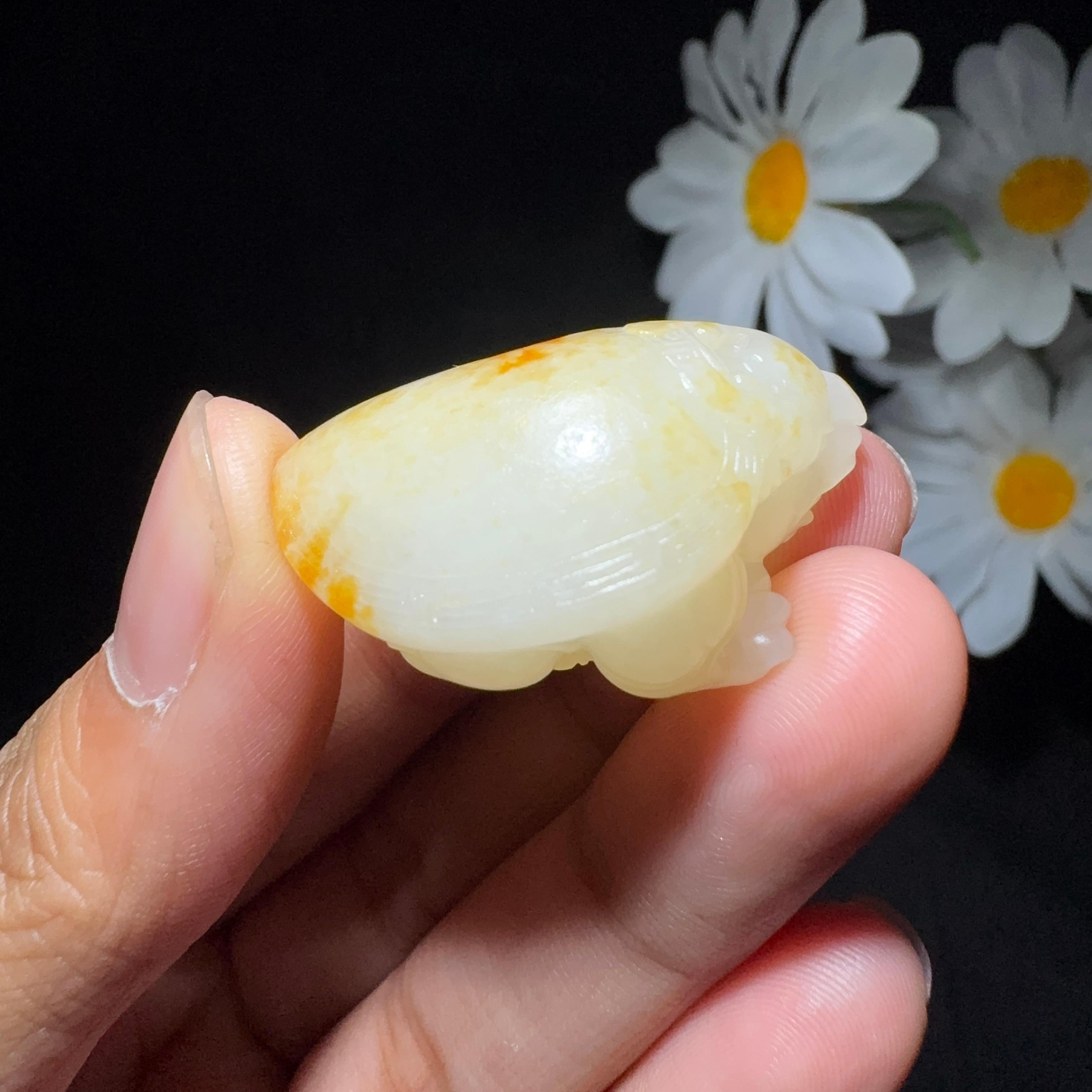 和田玉籽料挂件龙龟（14.5g）