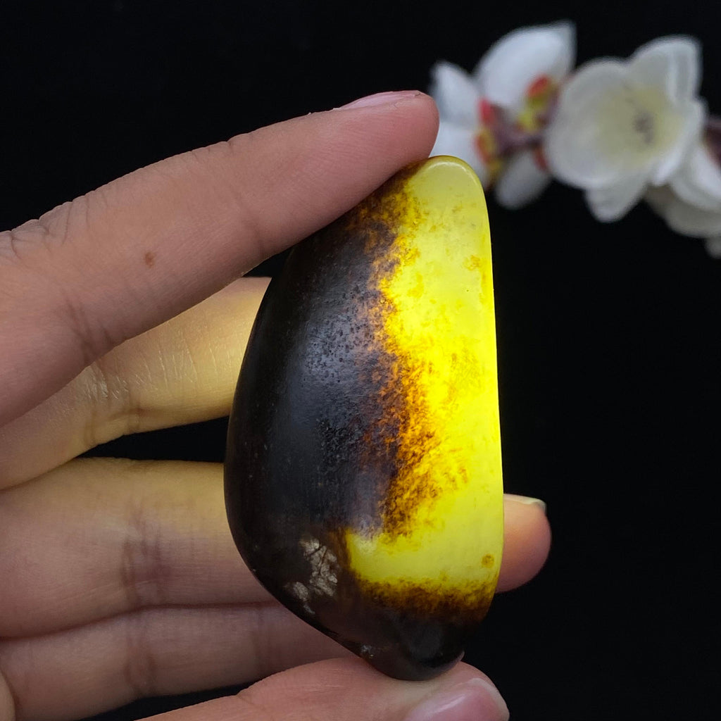 和田玉秋梨黑皮籽料（47.2g）