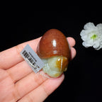 和田玉籽料龙龟（50.7g）
