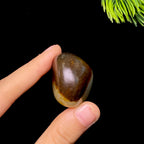 和田玉秋梨皮白肉籽料（36.4g）