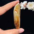 和田玉聚红皮籽料手把件（69.8g）