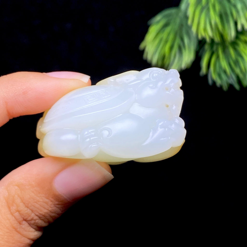 和田玉糖白龙龟（35.8g）