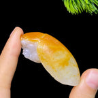 和田玉籽料龙龟（33.7g）