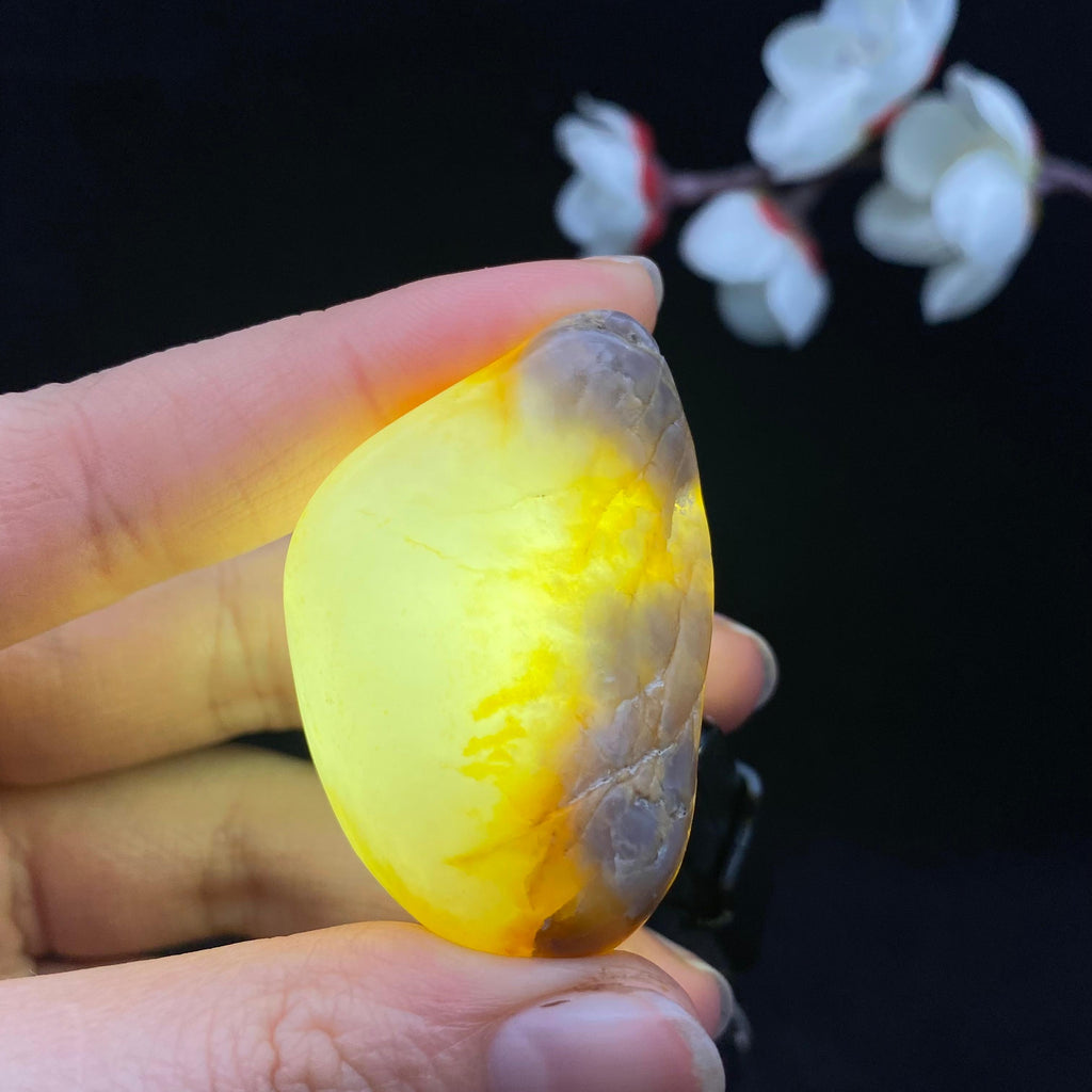 和田玉聚黄皮籽料（41.3g）