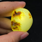 【超值推荐】和田玉-黄皮青花籽料原石（23克）