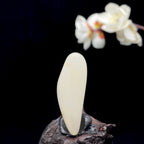 和田玉-白玉籽料原石（15.7克）